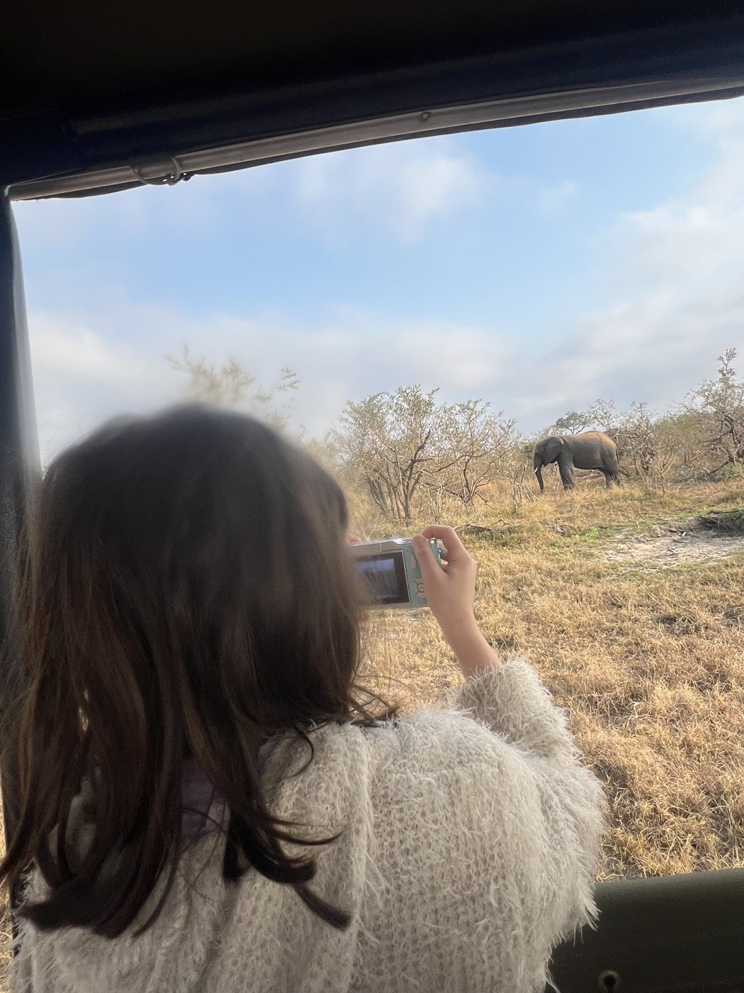 Dinah, de costas, com o braço erguido segurando uma câmera digital compacta, fotografando um elefante que pasta no capim seco, pela janela aberta do veículo de safári no Kruger.