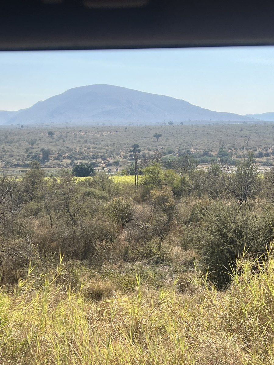 Vista de um dos mirantes da Panorama Route: um vale seco de mato rasteiro em primeiro plano e uma montanha isolada ao fundo, sob céu azul limpo.