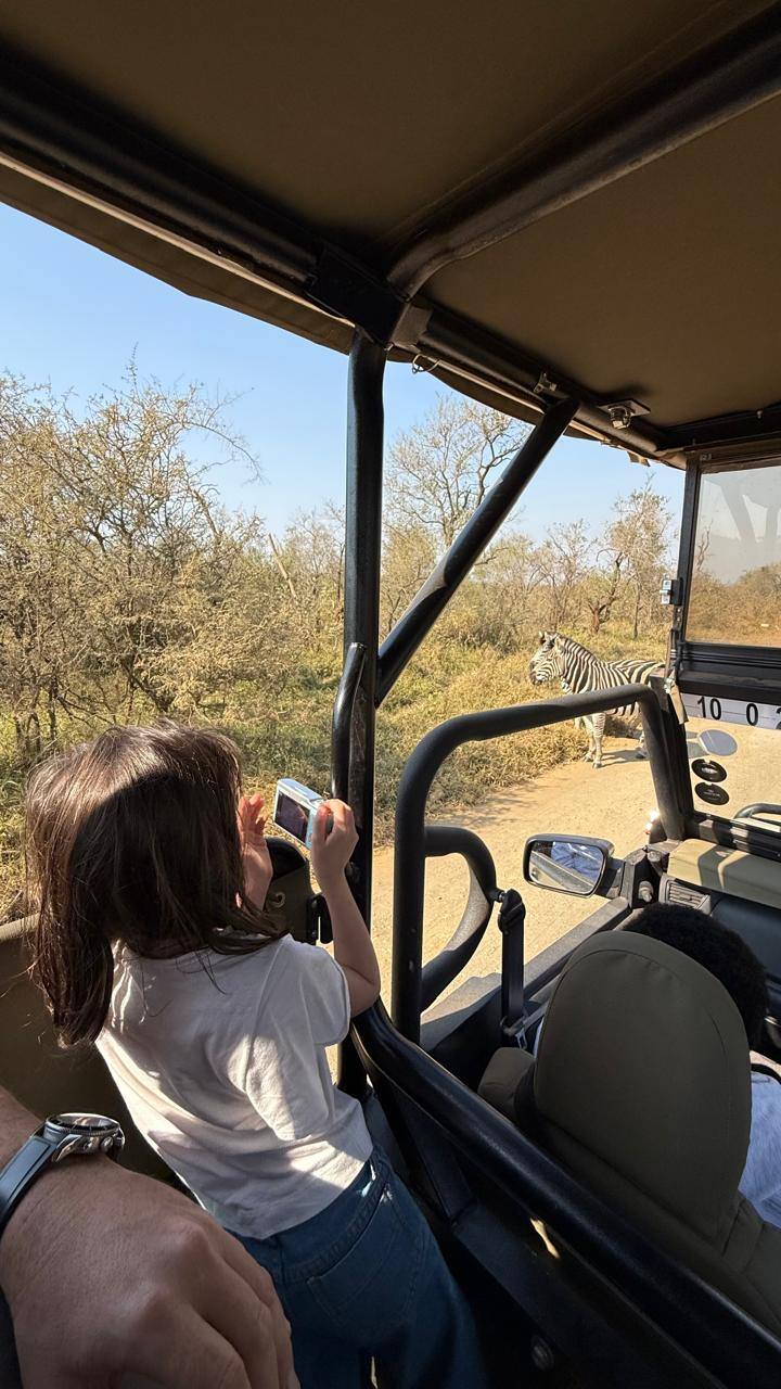 Dinah dentro do veículo de safári, usando uma câmera digital para fotografar uma zebra na estrada.