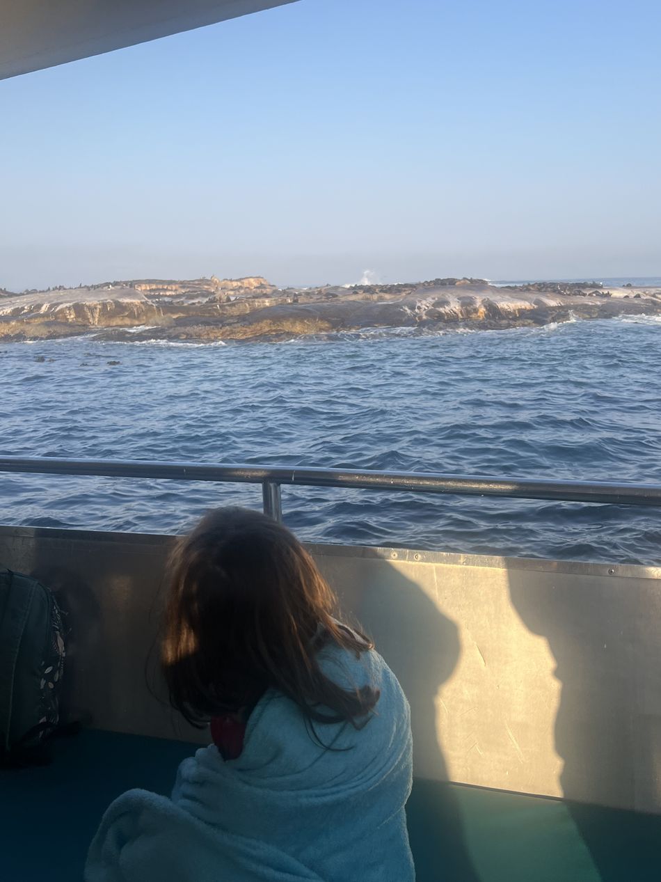 A Dinah de costas, enrolada num lençol azul-claro, sentada no convés do barco olhando a ilha de focas do outro lado da amurada